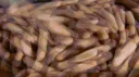 RADAL'S DISCORD server banner