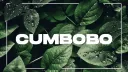 🏢 Cumbobo Co. banner
