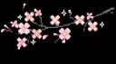 [❤_Polish Community_❤] banner