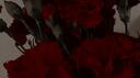 ﹔BLΛZIПG ΉΣΛЯƬBΣΛƬ ―  Banner