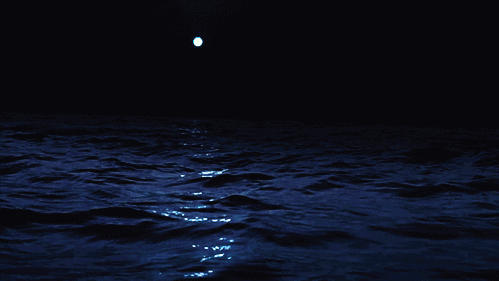 𐀶 𝟣͟11. 🌊 ♡ᱺ 𝘄𝗵𝗶𝘀𝗉𝖾𝗋𝗂𝗇𝗀 𝙤𝙘𝙚𝙖𝙣𝙨 . 𓇼 Discord server banner