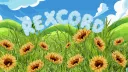 Rex Orange County banner