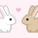     /wisteria ﹒13+ ﹒dcr Banner