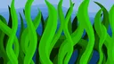 The Kelp Forest banner