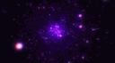 「 Planet Muta 」 banner