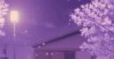 ┊・・sweetz Banner