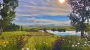 banner