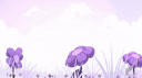 ๐ฬท!๐ฬท๐ฬท๐ฬท๐ฬท server banner