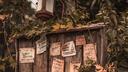 fae land  Banner