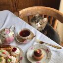 cuppa tea refilled Banner