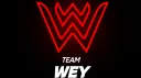 Wey E-Sports banner