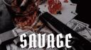 SAVAGE Banner