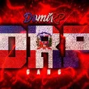 DomiRP ESP Oficial banner