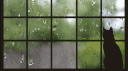 RaineStorm 𝜗𝜚 ‧ ₊ banner