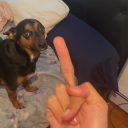 Reese Nation Discord server banner