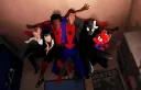 The Spider-Society 🕷🕸 Discord server banner