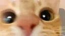 🌟 𝗕𝗔𝗕𝗬 𝗟𝗨𝗡𝗔 🧸 banner