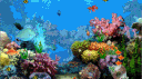 Toktsu's Aquarium 🌊 Discord server banner