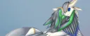 banner