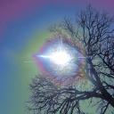 angel’s den Banner