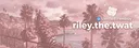 banner