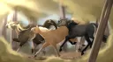 BWA - Equistride banner