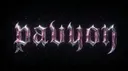 PAVYON banner