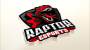Raptor ESports banner