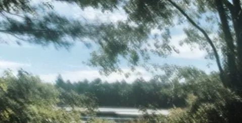 𝑮𝒂𝒓𝒅𝒆𝒏 │ Ricster's Server banner