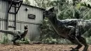 Prehistoric Times 🦖🩷 Discord server banner
