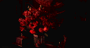 ✰ 𝔟𝔞𝔫𝔮𝔲𝔢𝔱 server banner