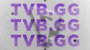 TVB | #1 Twitch VB banner