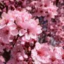 Conservatives | TRUMP 2024 Banner