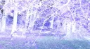 THE SPIRITUAL GARDEN banner