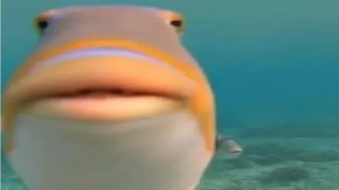 πππ§ππ§ππ¦π¦π¦ πΆππππ’πππ‘π¦ π£{1.8k}π banner