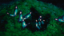 r/BTechtards server banner