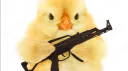 荒らし連合軍│AARR 🐥🚩 banner