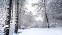 Snow Flake Paradise ⋆ ˚｡⋆୨୧˚ Banner