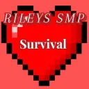 rileys SMP banner