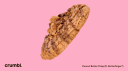 Rblx Cookie [ 24H ] banner