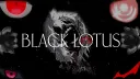 The Black Lotus banner