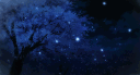 Astera banner