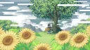Scro banner