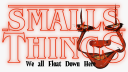 Smalls Things 25+ banner