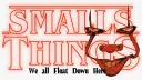 Smalls Things 25+ banner