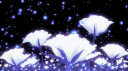 Tenshi banner