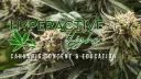 Hyperactive Highs banner