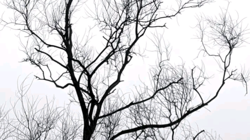 EWW Discord server banner