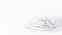 ProPips banner