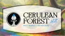 Cerulean Forest banner